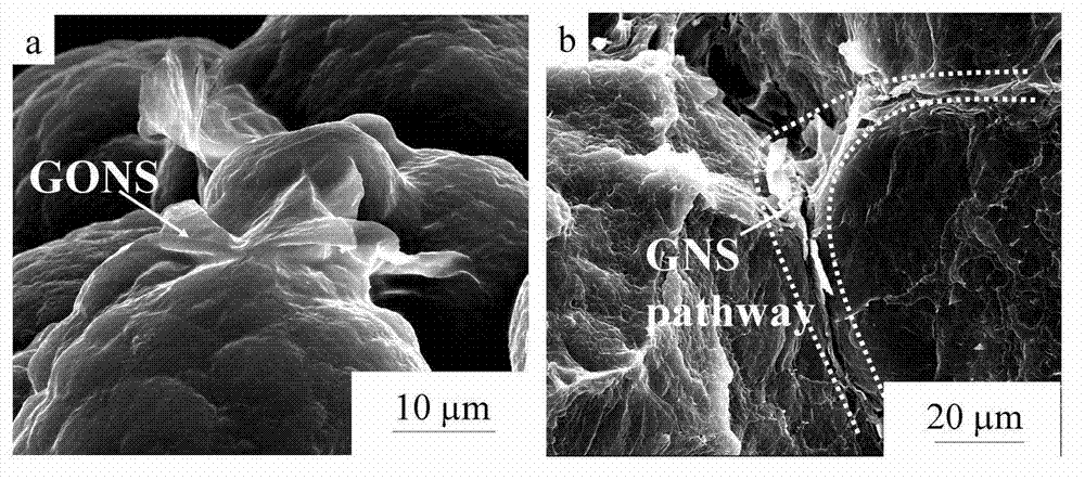 Preparation method of low-percolation graphene/macromolecule electromagnetism shielding material