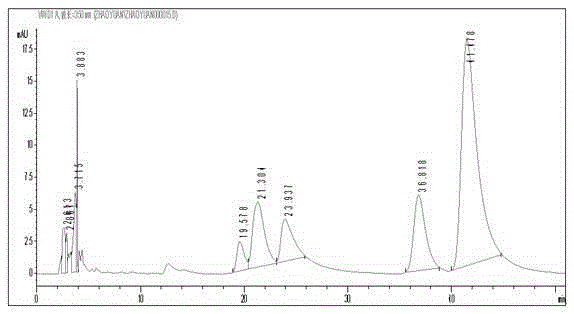 Phellinus linteus catharsis formula for prevention and cure of type II diabetes and preparation process thereof