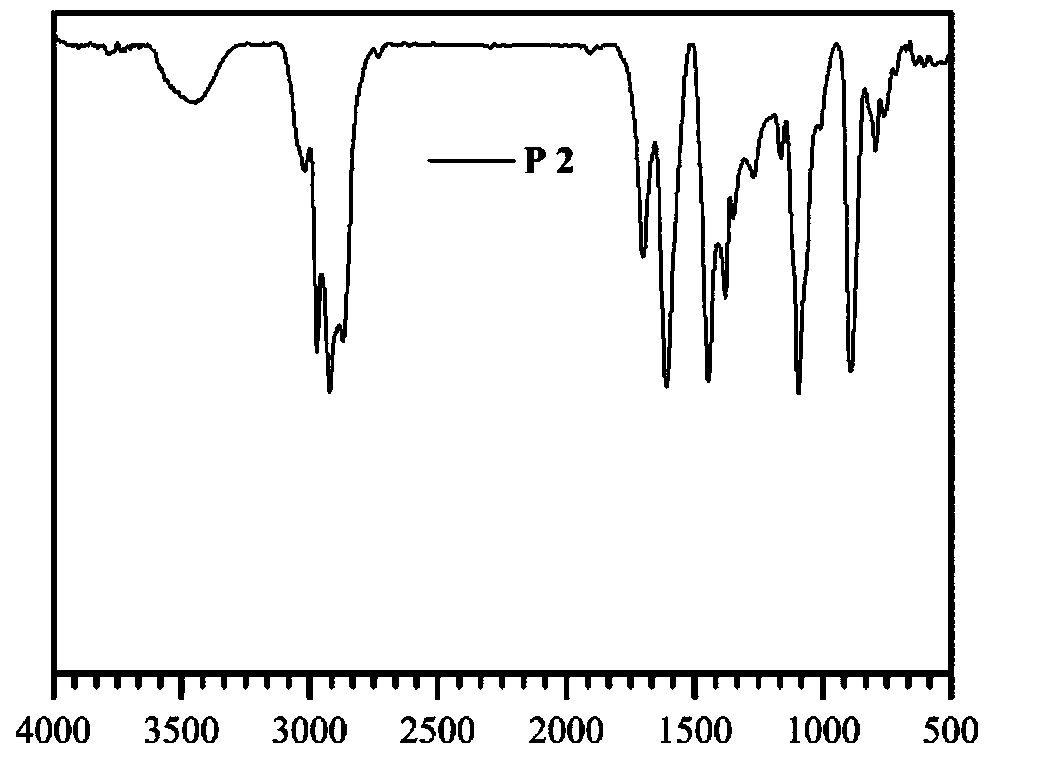 Preparation method, material and application of porous polymer