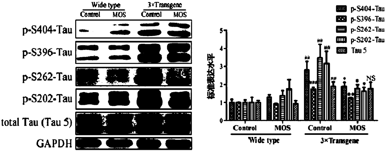 Application of oligomannuronic acid in inhibition of total tau expression, phosphorylation and aggregation