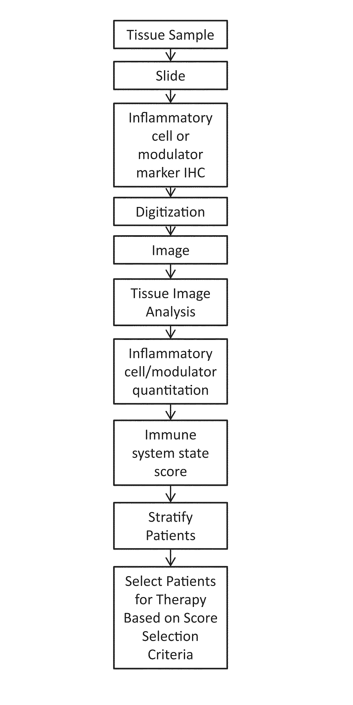 Digital image analysis of inflammatory cells and mediators of inflammation