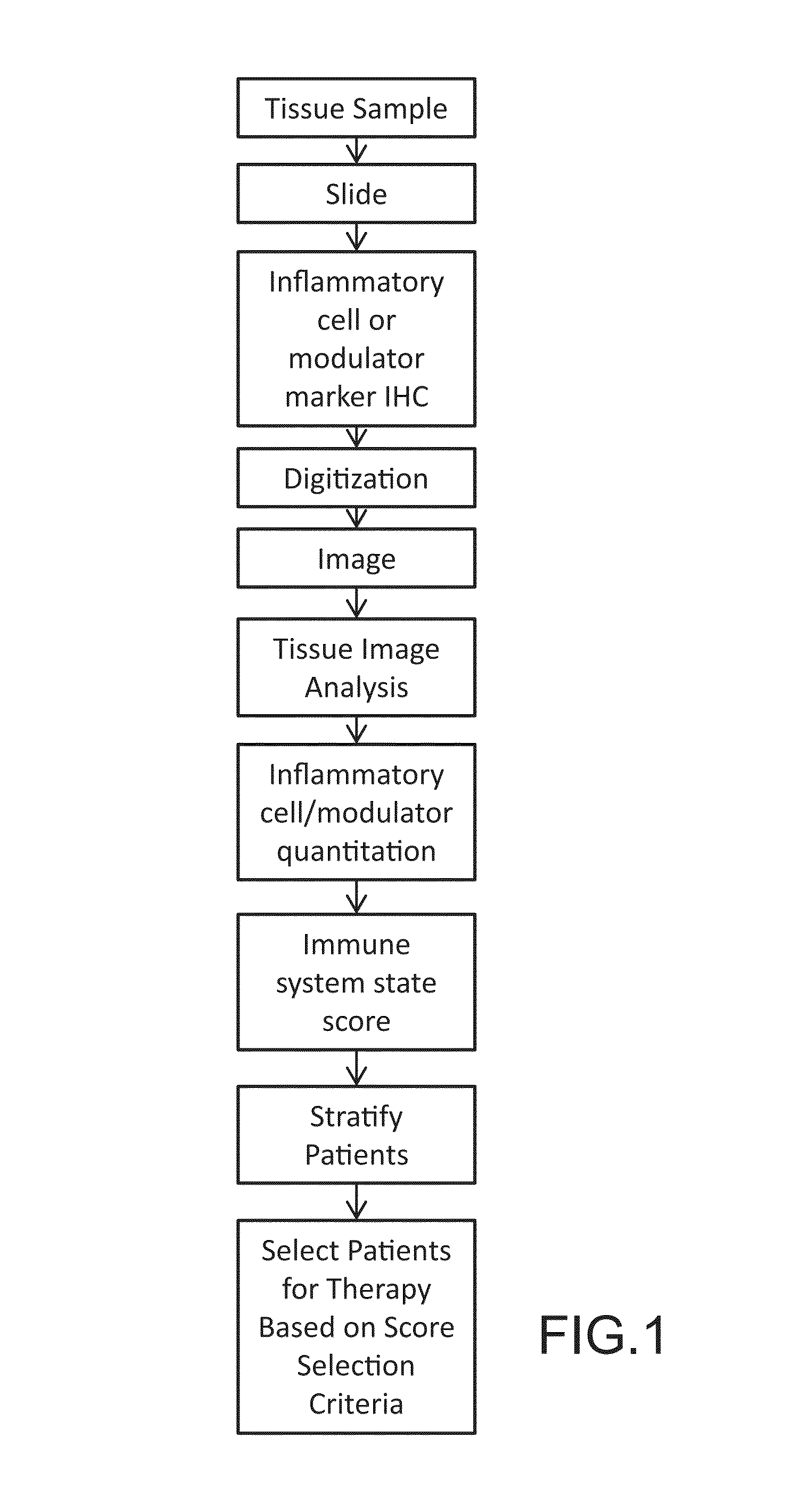 Digital image analysis of inflammatory cells and mediators of inflammation