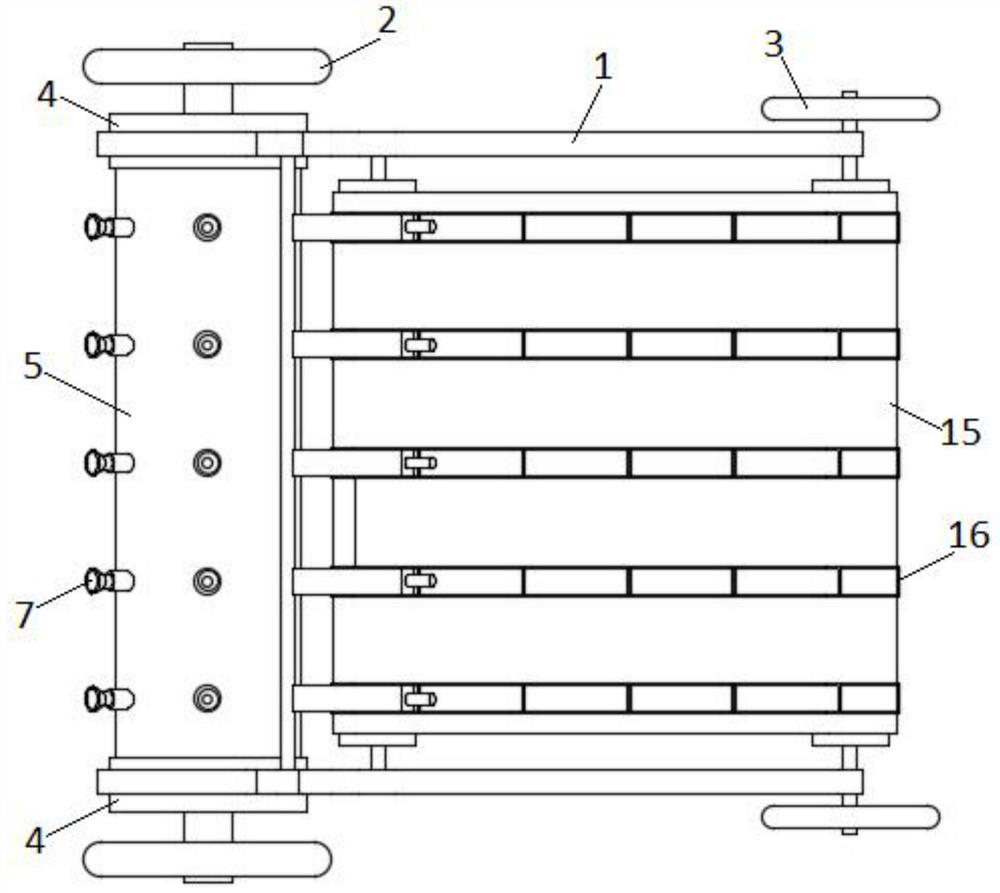 Seedling inserting device for grape planting