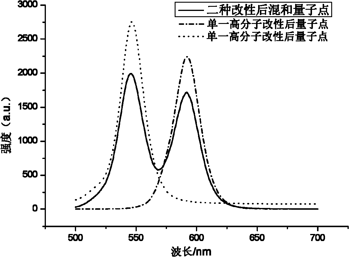 Amphiphilic macromolecular modified oil-soluble nuclear/shell quantum dots and preparation method