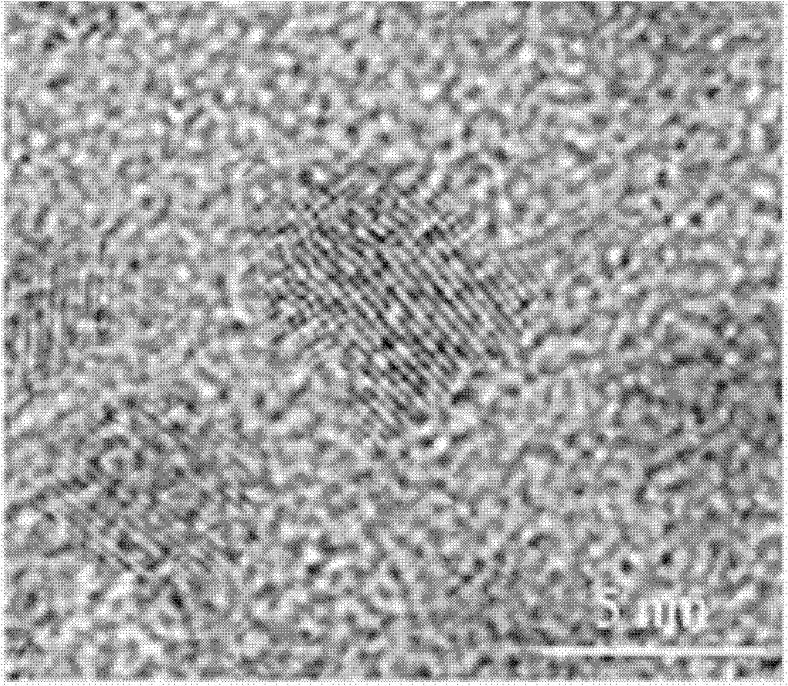 Amphiphilic macromolecular modified oil-soluble nuclear/shell quantum dots and preparation method