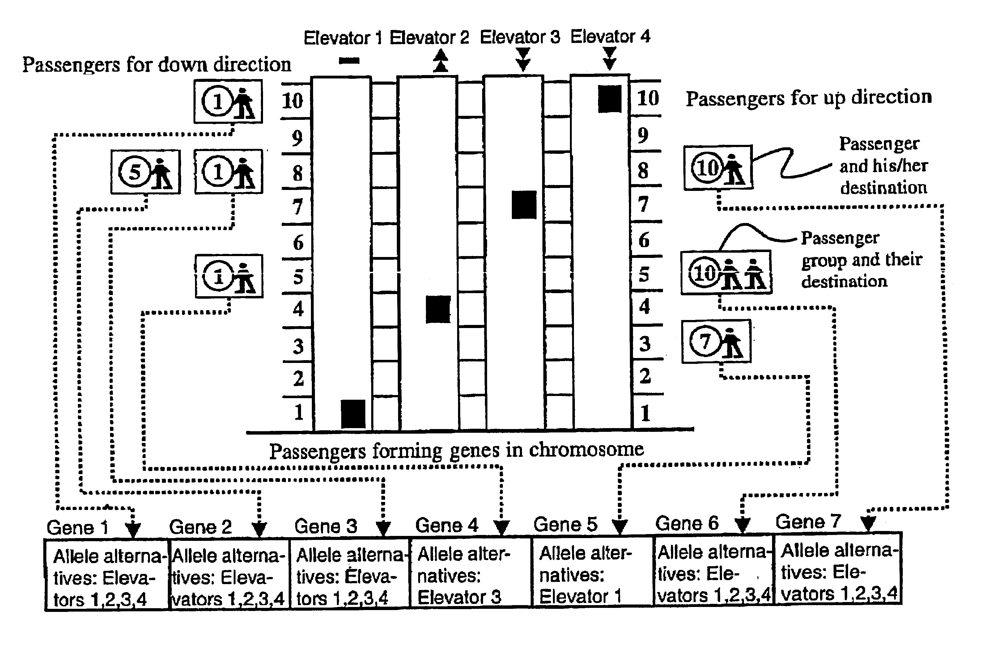 Method and apparatus for allocating passengers by a genetic algorithm