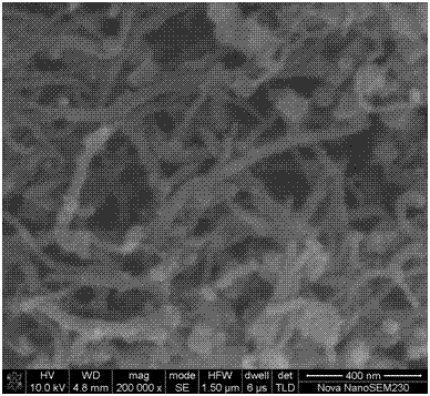 Lithium ion battery negative electrode material silicon oxide doped manganese oxide/carbon tube and preparation method thereof