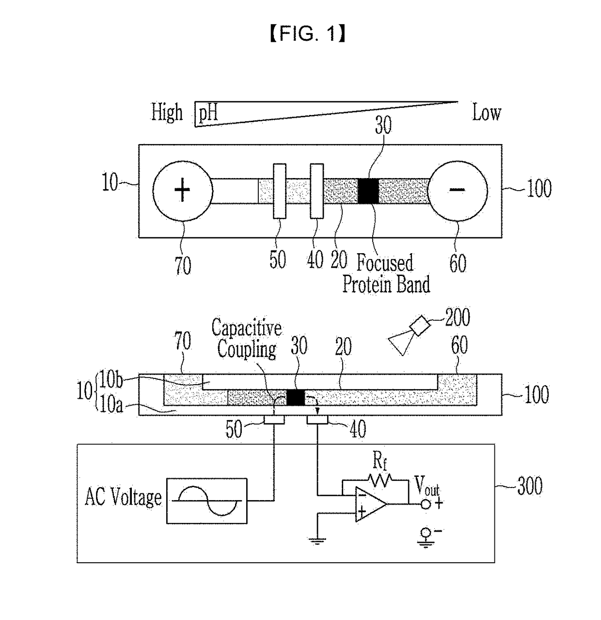 Nonvolatile protein memory system with optical write/erase and electrical readout capability