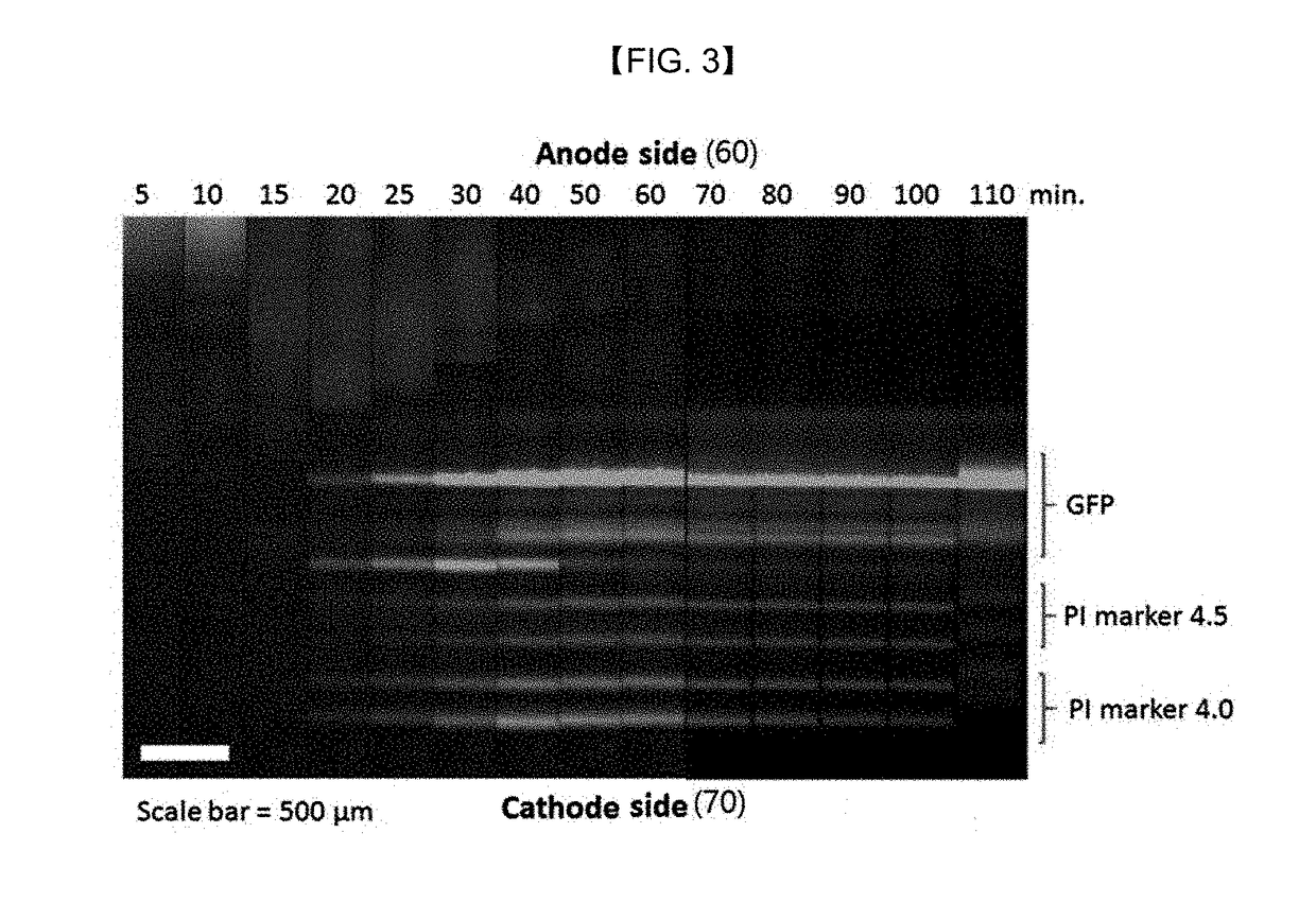 Nonvolatile protein memory system with optical write/erase and electrical readout capability