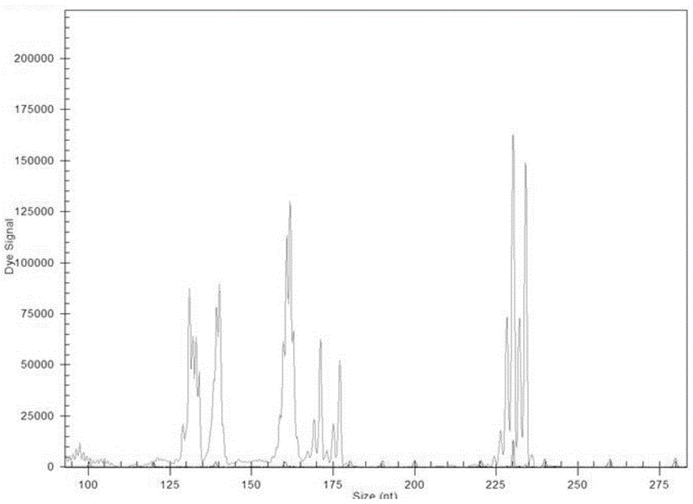 Microsatellite colorectal cancer instability amplification system and detection kit thereof