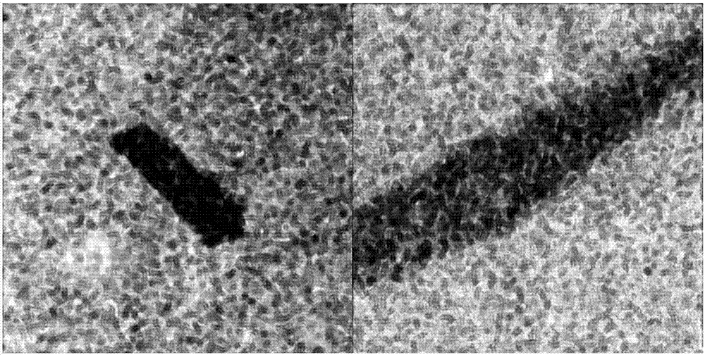 A Sea Surface Oil Spill Detection Method Based on Full Polarization Synthetic Aperture Radar Images