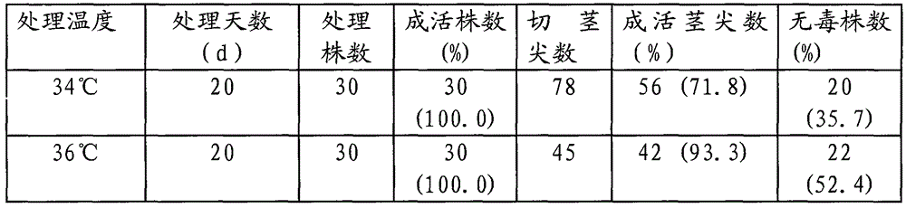 Detoxification method combining heat treatment and chemical treatment for apple tissue culture seedlings