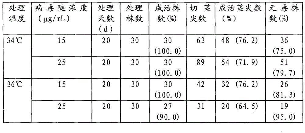 Detoxification method combining heat treatment and chemical treatment for apple tissue culture seedlings