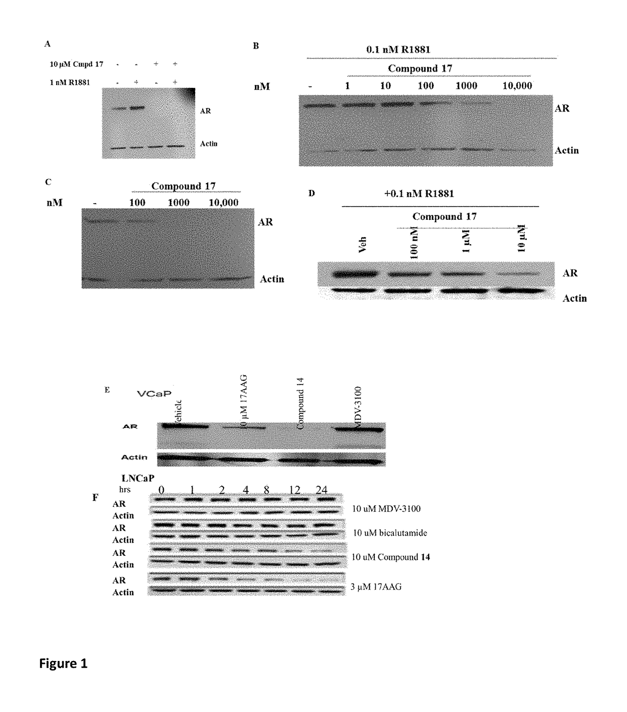 Selective androgen receptor degrader (SARD) ligands and methods of use thereof