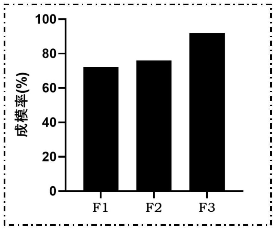 Construction method of metabolism-related fatty liver disease non-human primate model