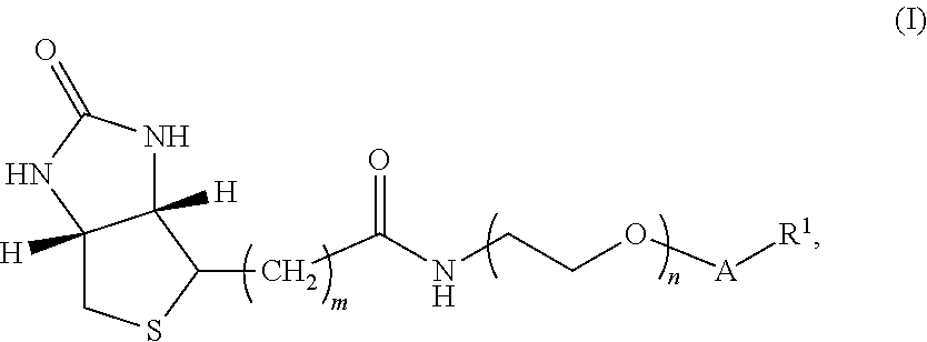 Biotin conjugates of analytes containing amino, hydroxyl, or thiol functional groups for use in immunodiagnostic assays