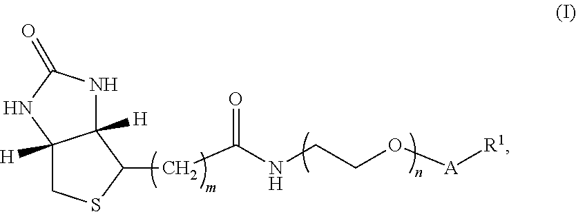 Biotin conjugates of analytes containing amino, hydroxyl, or thiol functional groups for use in immunodiagnostic assays