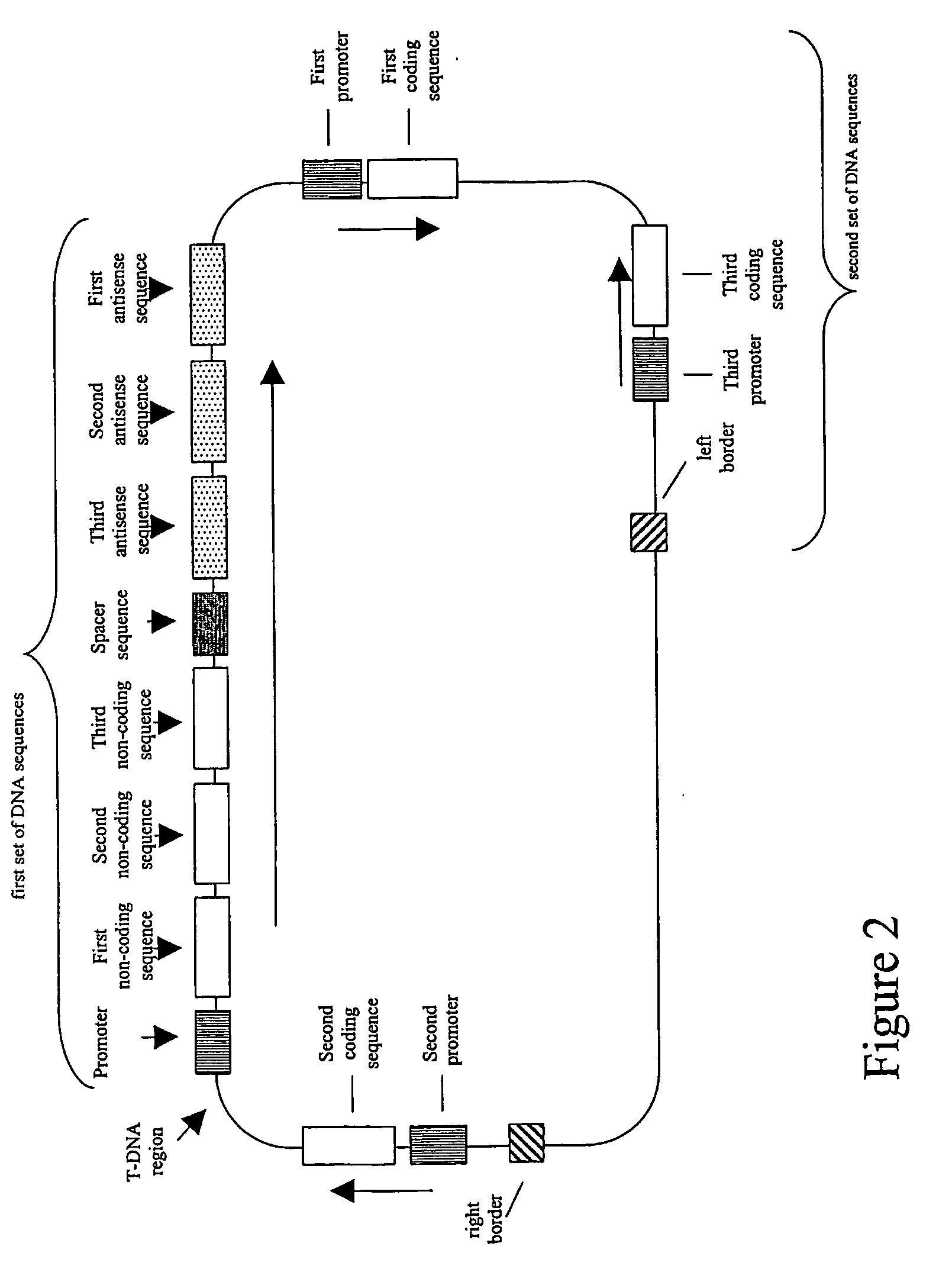 Nucleic acid constructs and methods for producing altered seed oil compositions