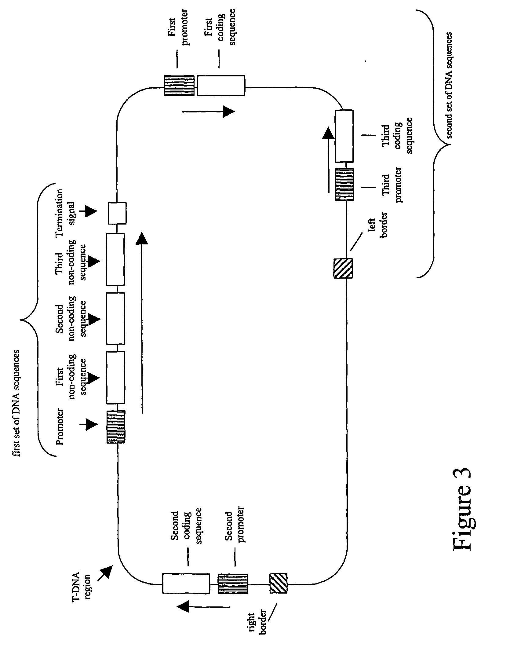 Nucleic acid constructs and methods for producing altered seed oil compositions