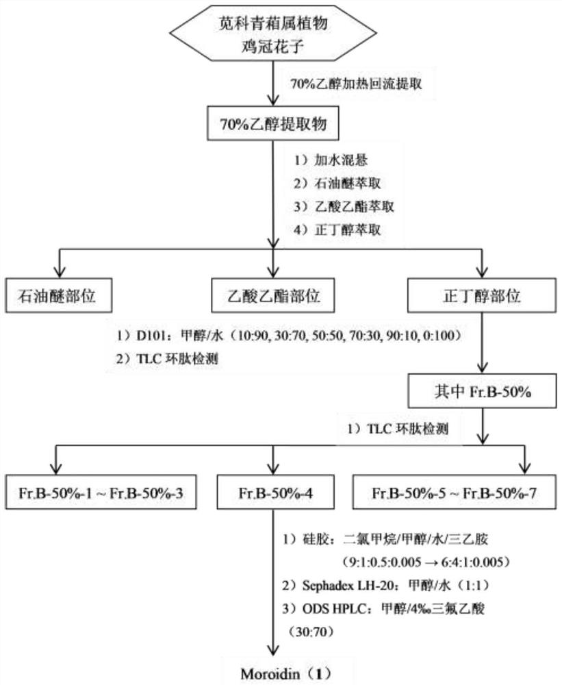 Preparation method of nettle cyclopeptide in cockscomb seeds and application of nettle cyclopeptide in antitumor drugs