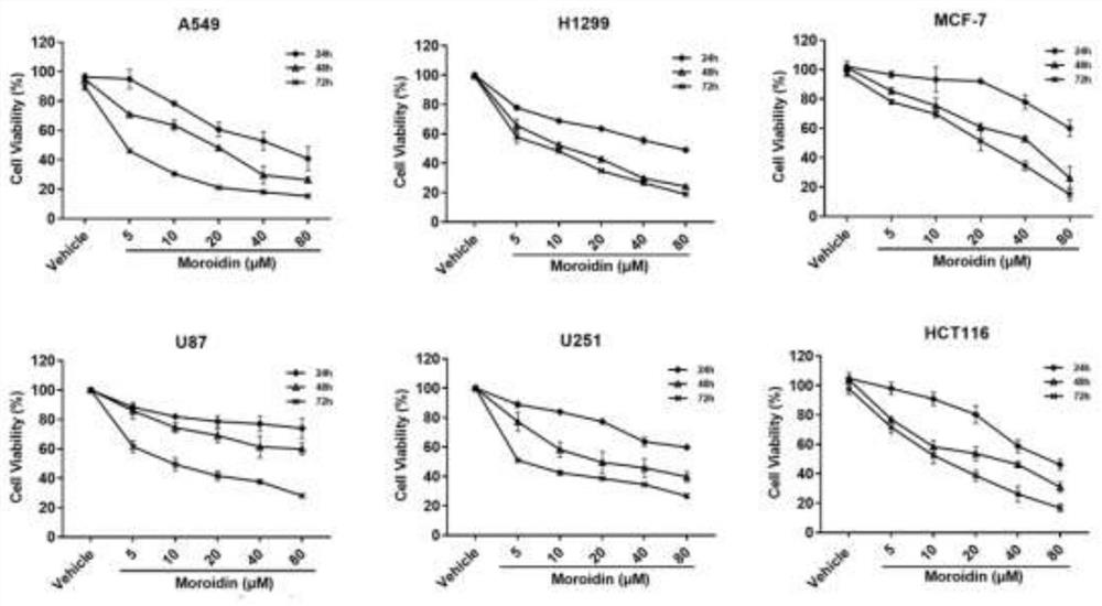 Preparation method of nettle cyclopeptide in cockscomb seeds and application of nettle cyclopeptide in antitumor drugs