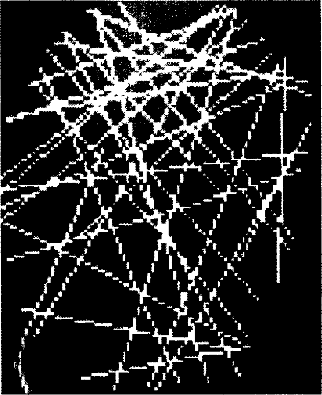 Parallel and distributing type identifying human face based on net