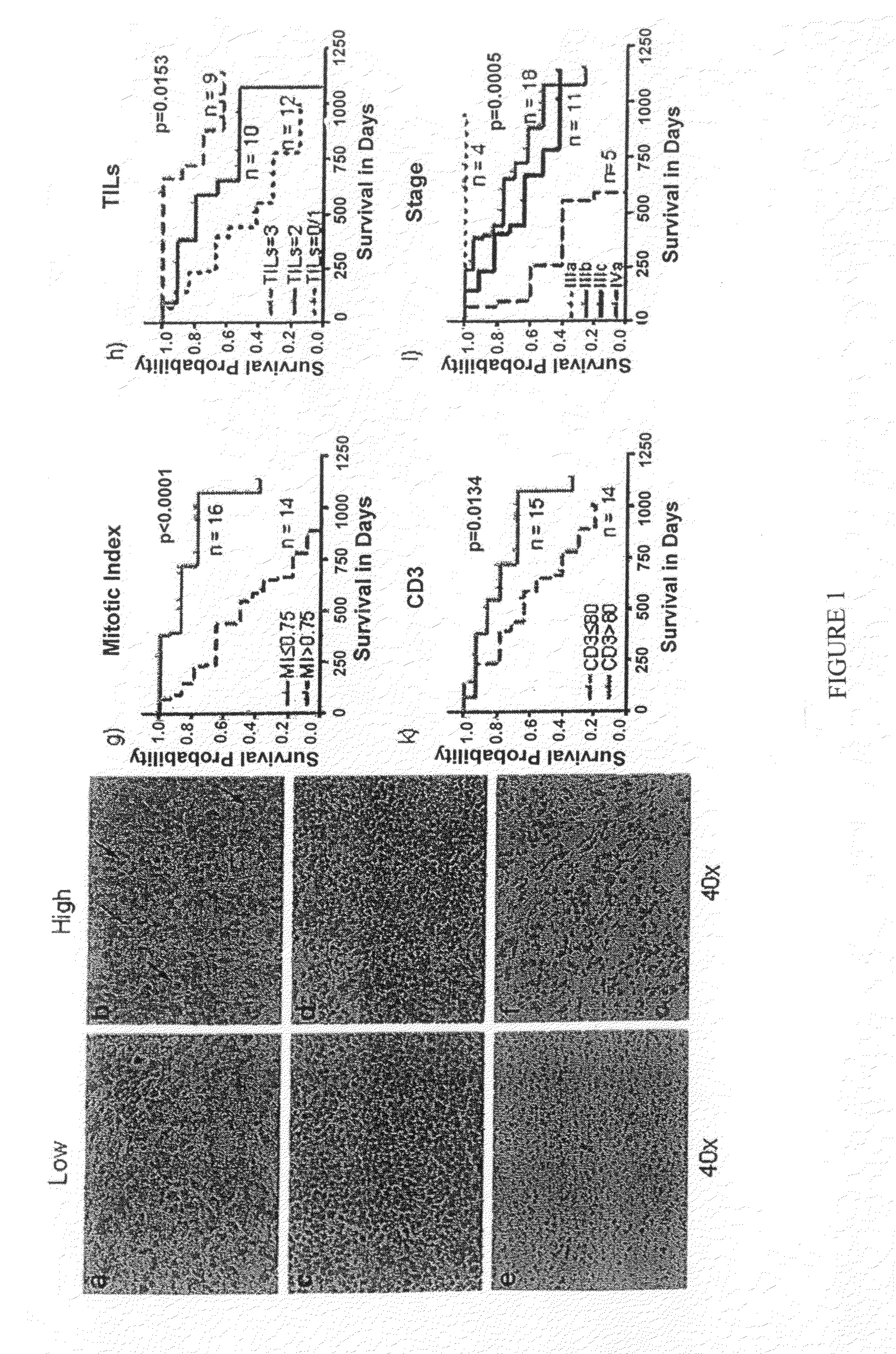 Methods for predicting survival in metastatic melanoma patients