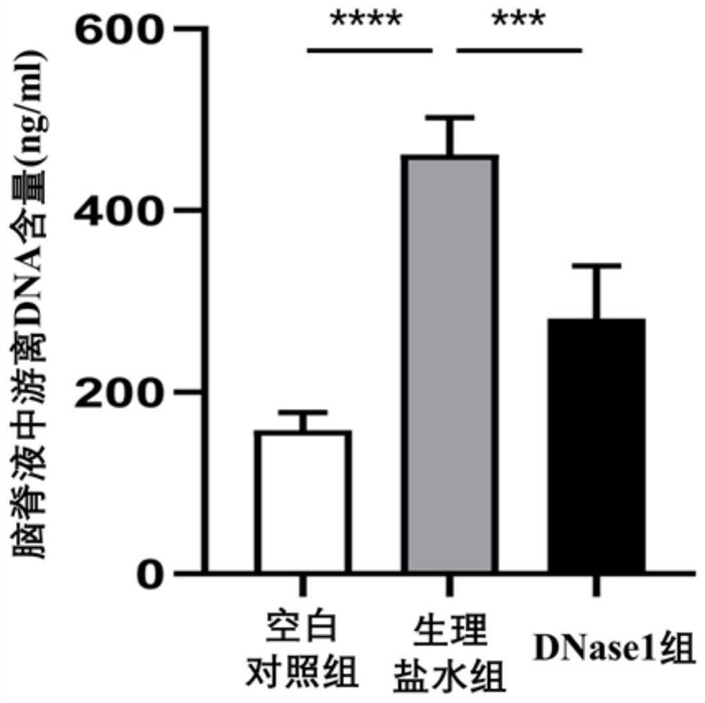 Application of deoxyribonuclease I to preparation of medicine for treating and preventing traffic hydrocephalus