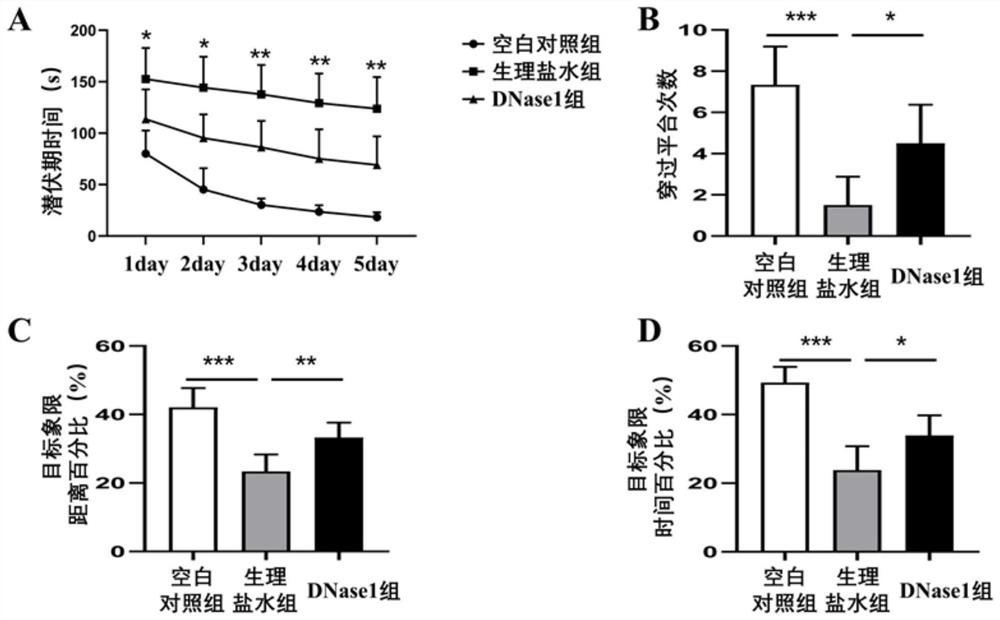 Application of deoxyribonuclease I to preparation of medicine for treating and preventing traffic hydrocephalus