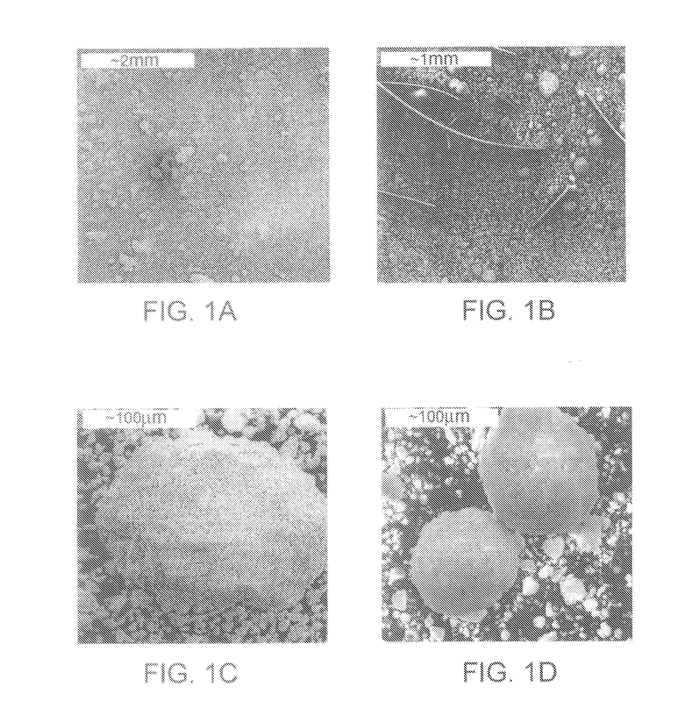 Synthesis of dimethyl carbonate from carbon dioxide and methanol