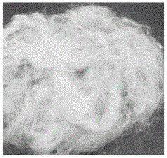 Method for preparing metaplexis japonica juice fibers