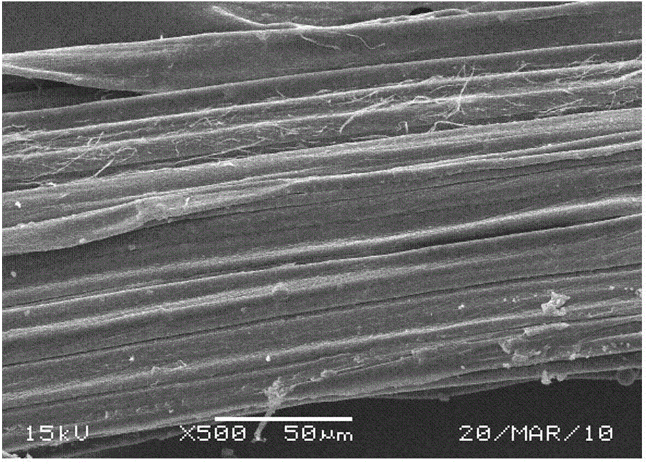 Method for preparing metaplexis japonica juice fibers