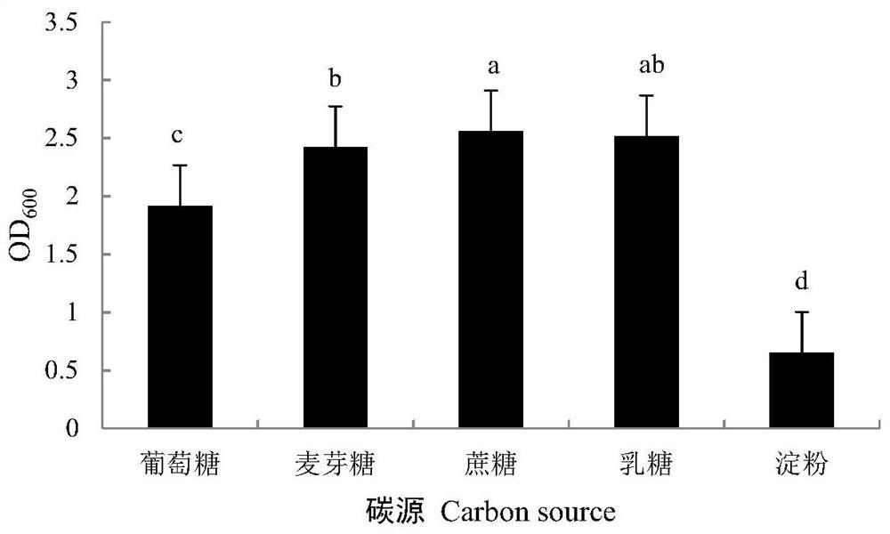 Pseudomonas aeruginosa and application thereof