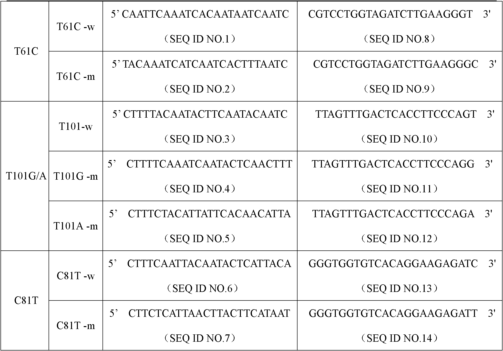 ABCB1 gene polymorphism detection specific primers and liquid chip