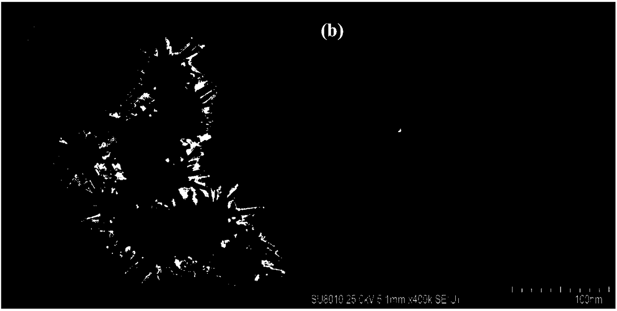 Rh nano nail cluster and synthesis method thereof