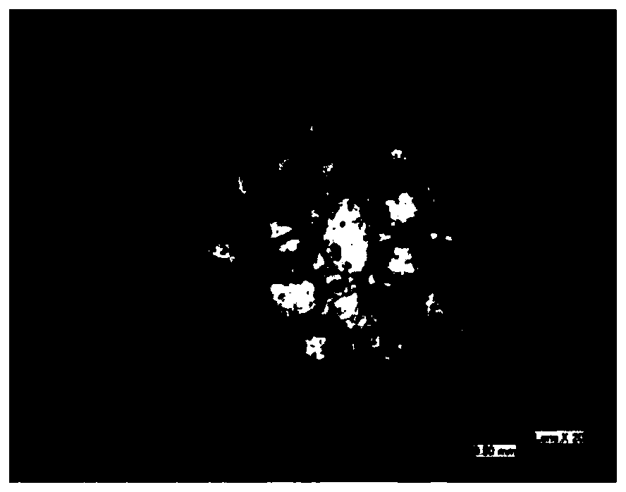 Open-cell foam cement and preparation method and application thereof