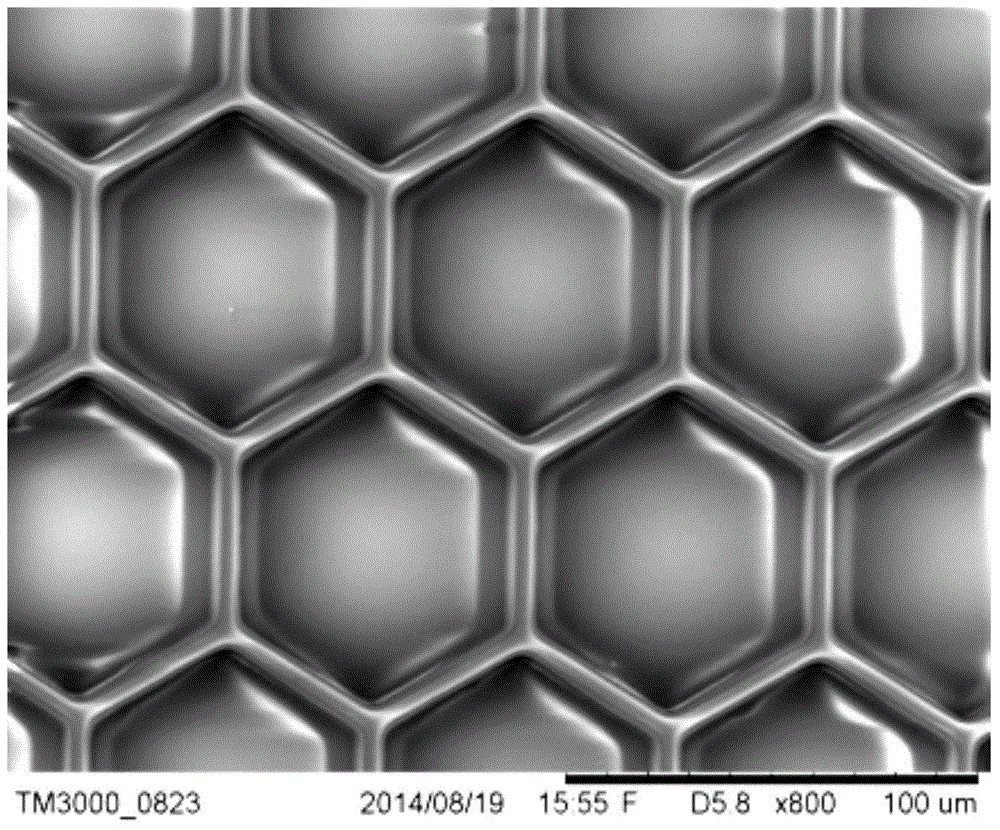 Method utilizing surface microstructure to activate neural astrocyte