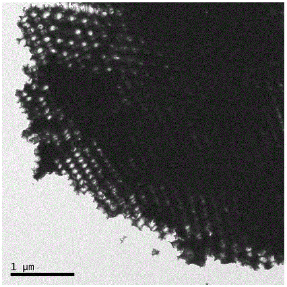 Ordered macroporous titanium dioxide and preparation method thereof