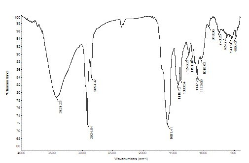 A kind of preparation method of uncaria total alkali hydrolyzate