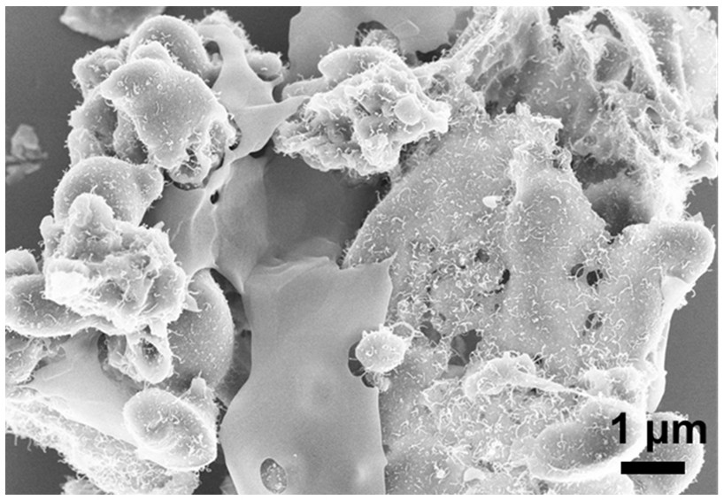 Cobalt-carbon composite wave-absorbing material derived from nickel-doped metal organic framework and preparation method thereof