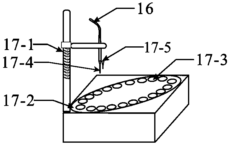 In-situ soil leaching monitoring test device and method