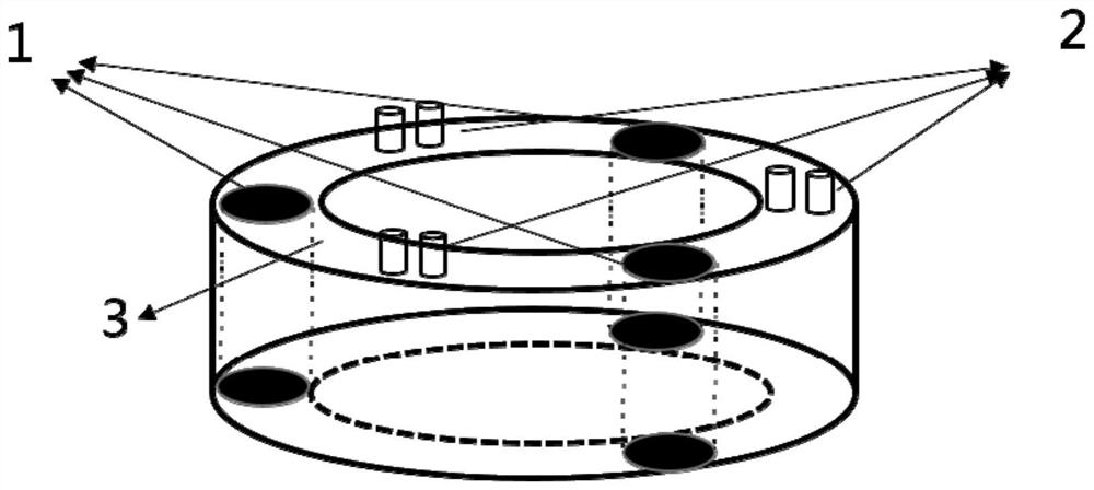 Radiotherapy position and dose real-time monitoring and positioning device and tumor radiotherapy system