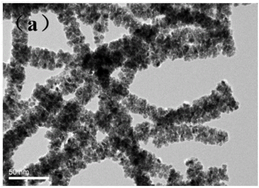 Preparation method of wheat head-shaped Te-Pt alloy nanowire