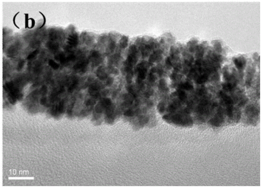 Preparation method of wheat head-shaped Te-Pt alloy nanowire