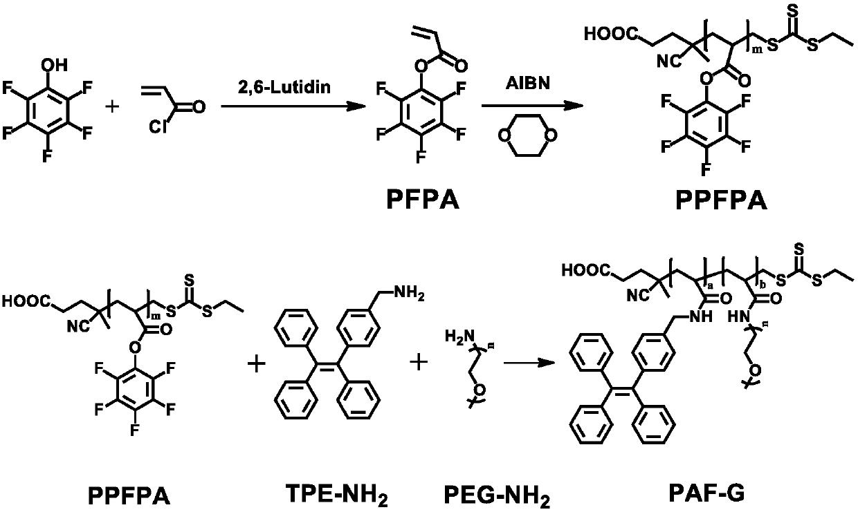 Amphiphilic polymer fluorescent material (PAF-G) and synthesis method thereof