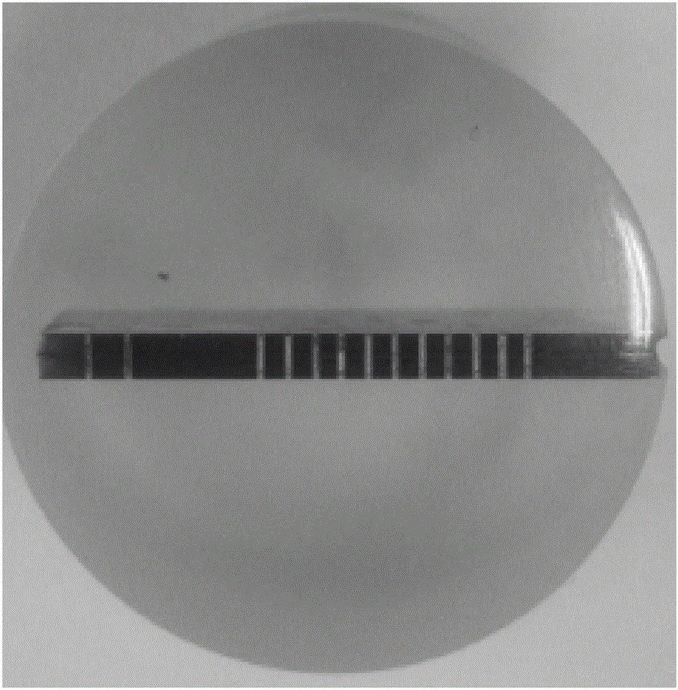 Curing adhesive used for preparation of microsection sample of printed circuit and preparation method thereof