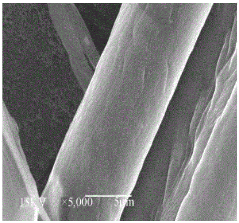 Antibacterial restorative functional dressing and preparation method thereof