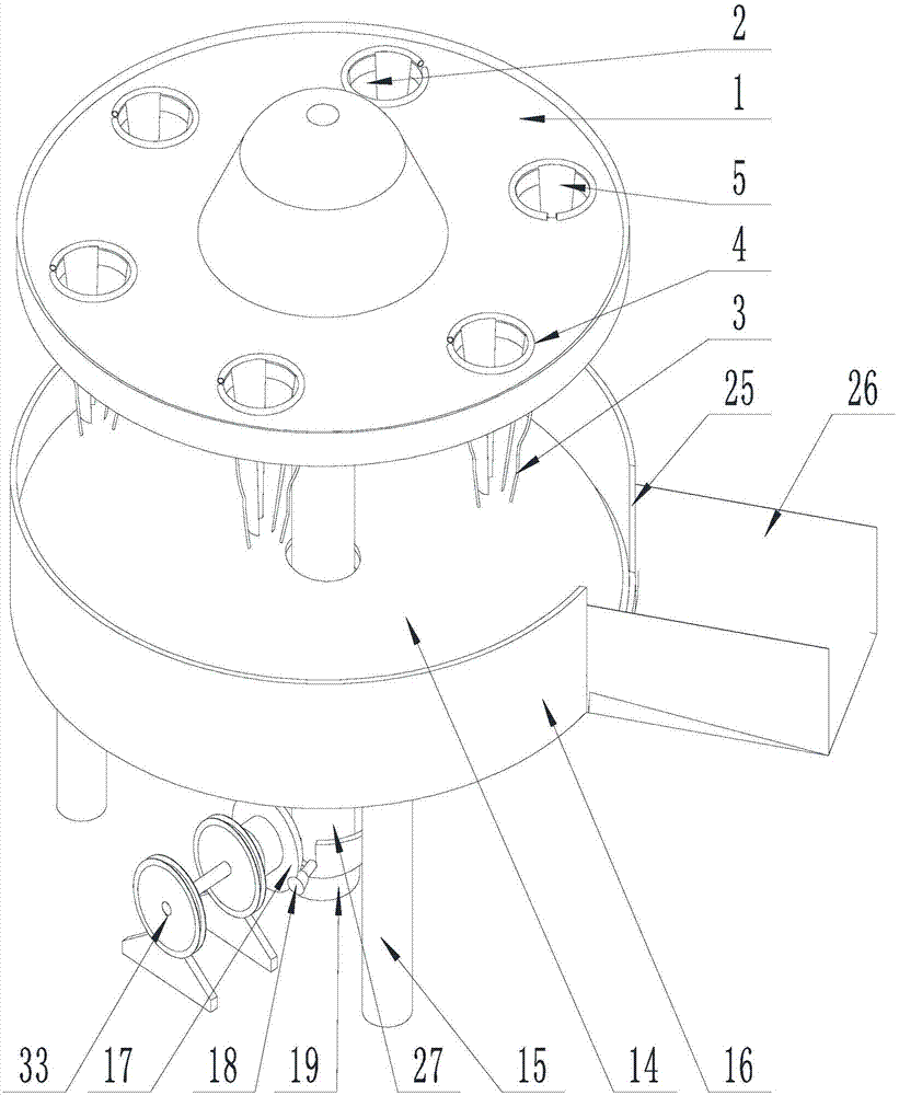 Fruit packaging system for improving packaging efficiency