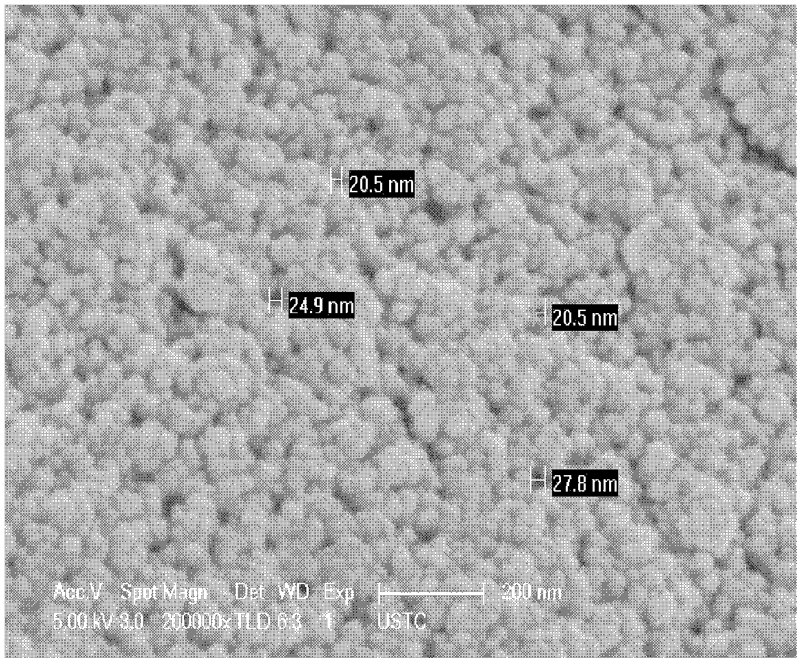 Method for preparing SiO2 aerogel heat insulating composite through adhesive slip casting