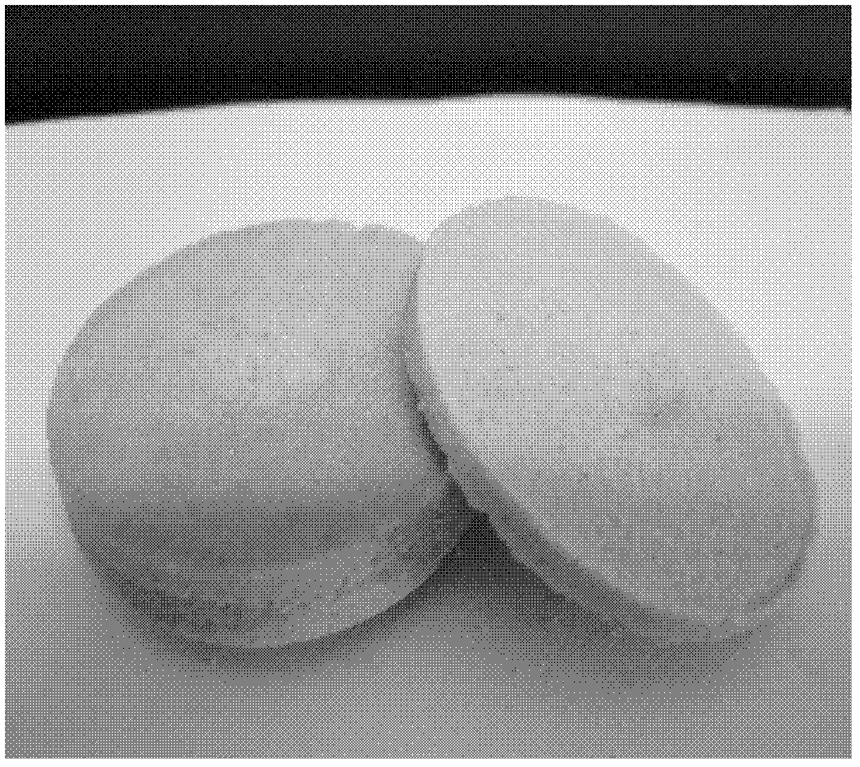 Method for preparing SiO2 aerogel heat insulating composite through adhesive slip casting